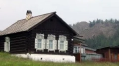 Jak se zbavit blech v soukromém domě navždy?